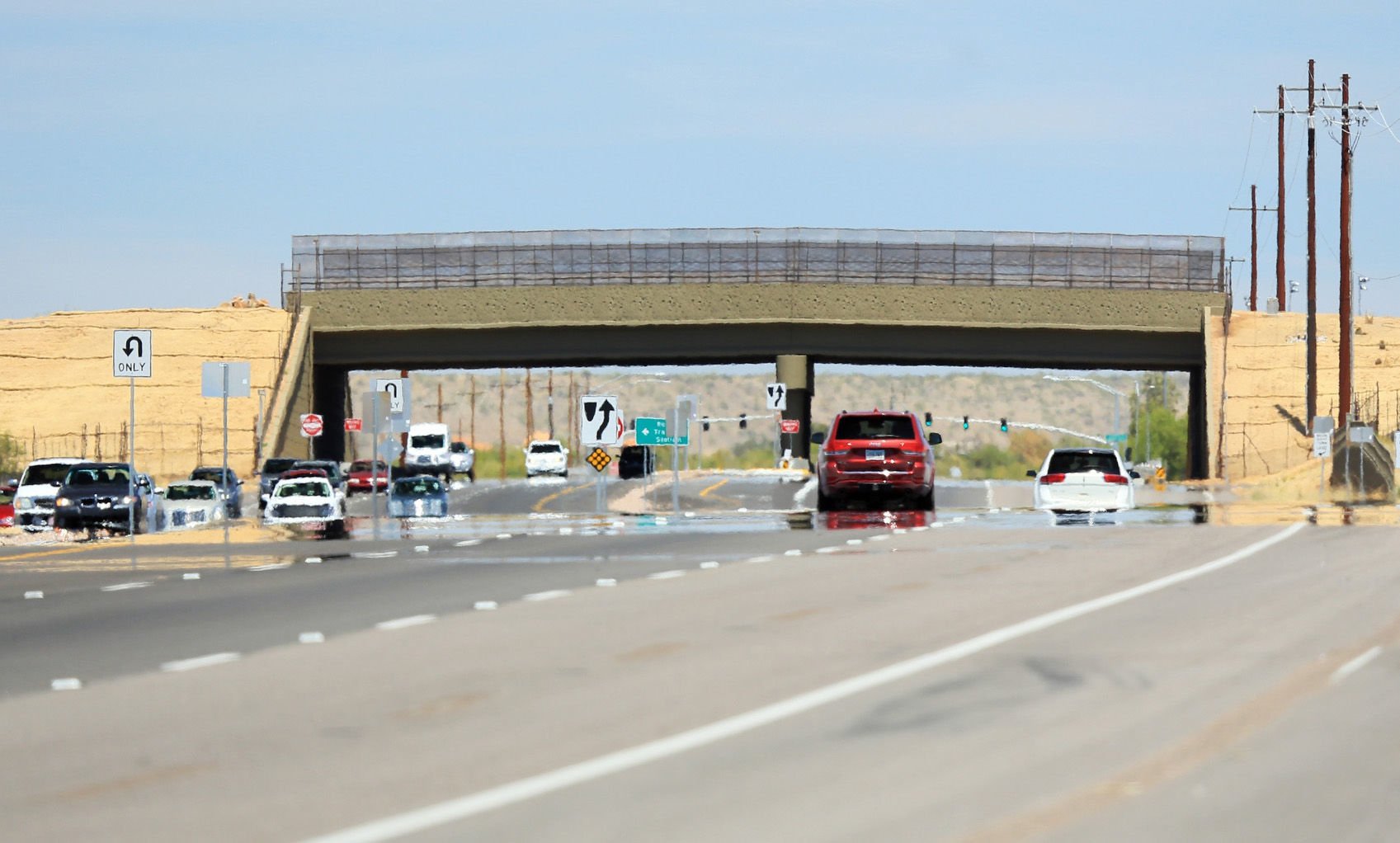 Wildlife crossing bridge